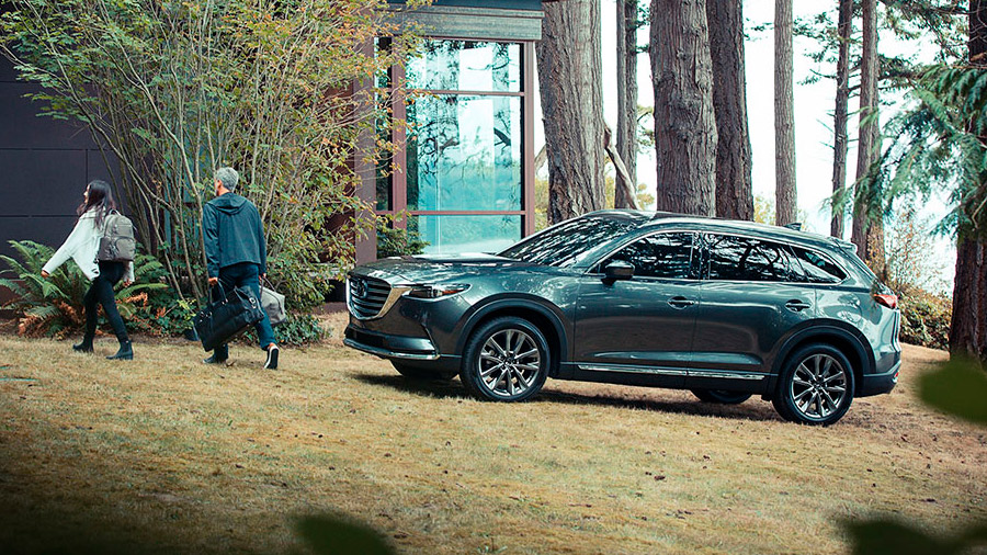 Los clientes pueden elegir entre 6 colores para la carrocería