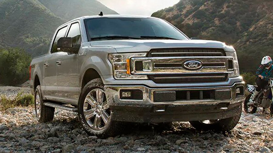 Tiene un aspecto vigoroso que proyecta capacidad y resistencia