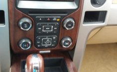 Lobo King Ranch 2013 Puebla-3