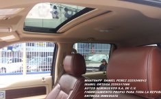 Lobo King Ranch 2013 Puebla-1