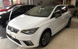 Se pone en venta un Seat Ibiza