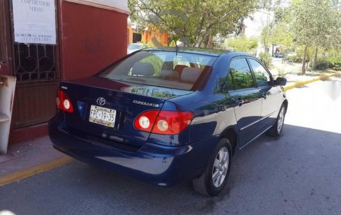 Coche impecable Toyota Corolla con precio asequible